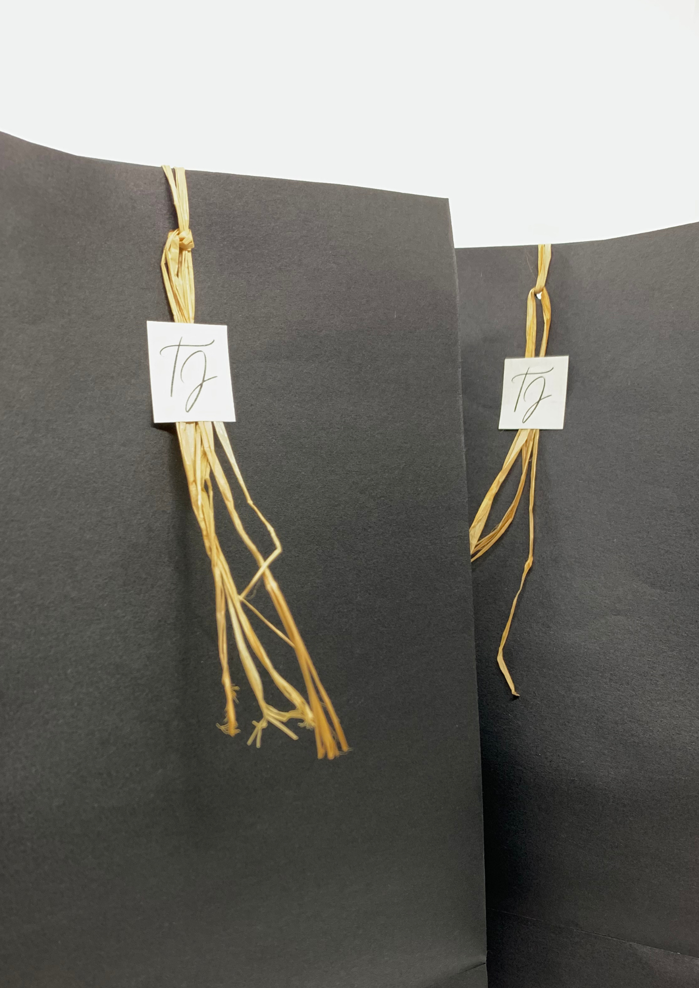 Invitació de boda de la Tània i Javi