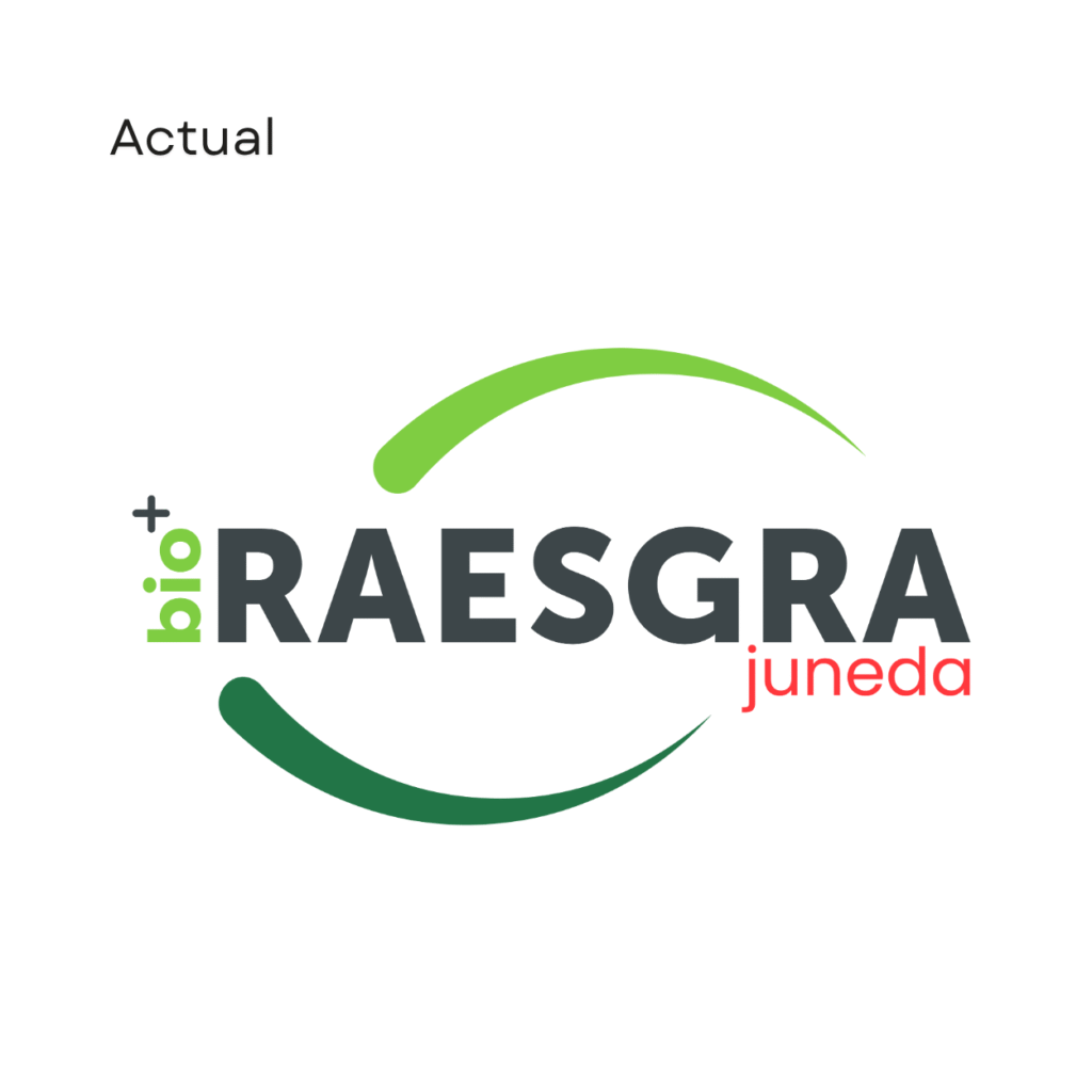 Imagotip actual de Raesgra