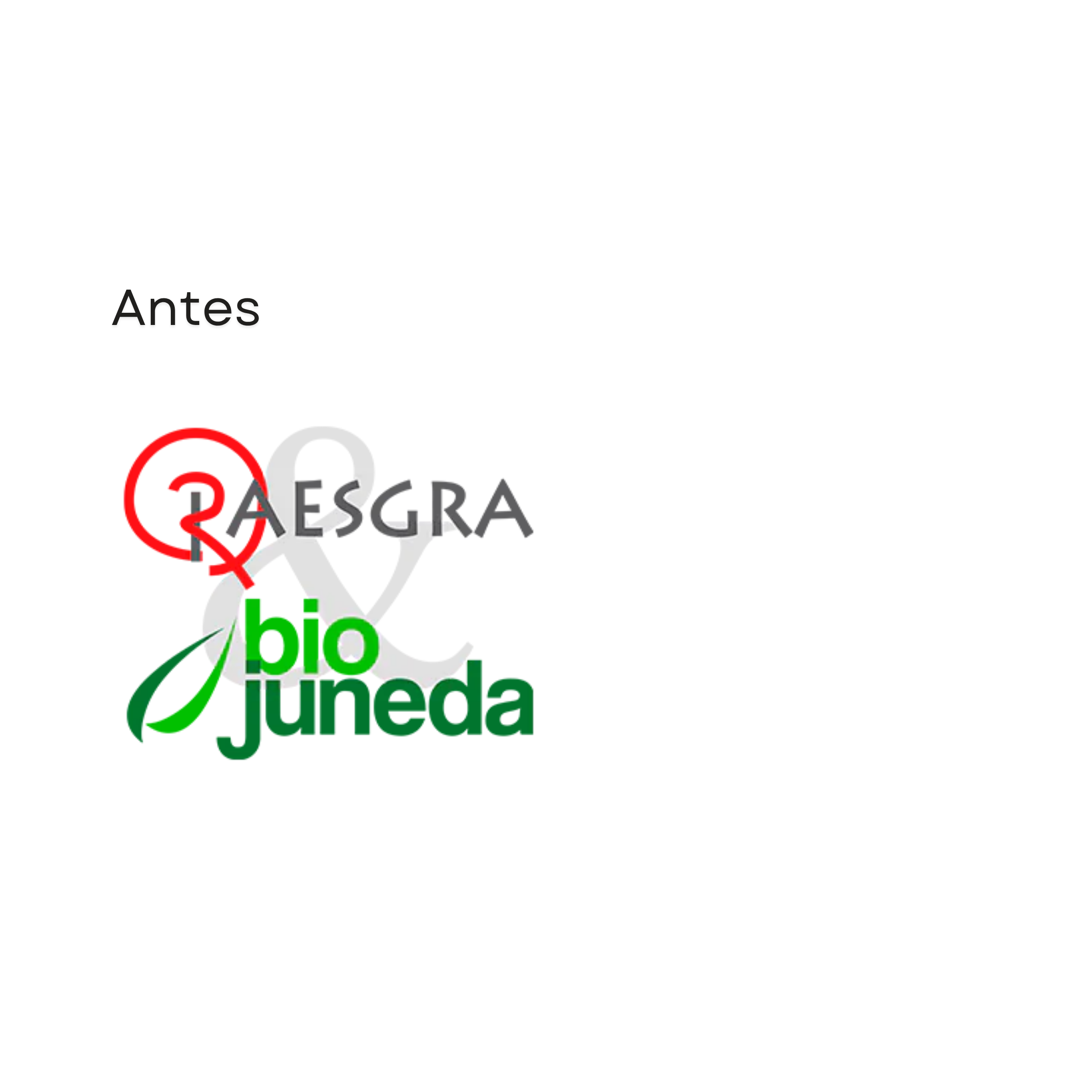 Imagotipo antes de Raesgra