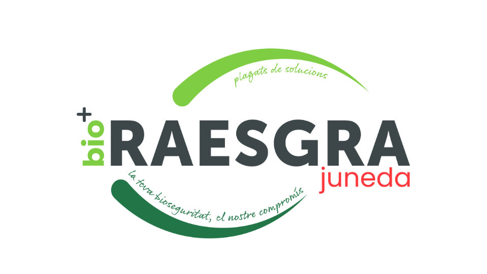 Nou imagotip de Raesgra