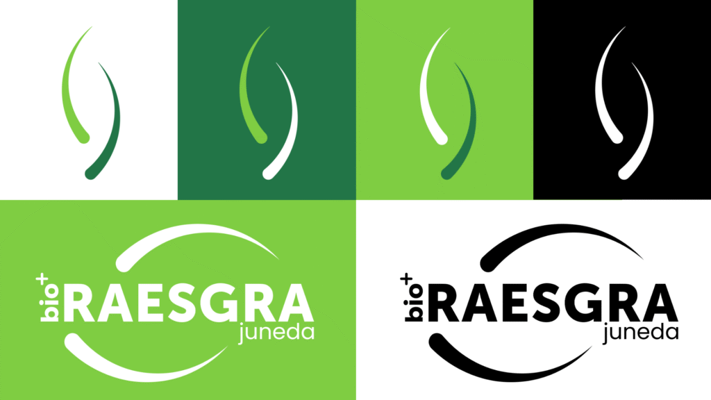 Variacions i picto del nou imagotip de Raesgra